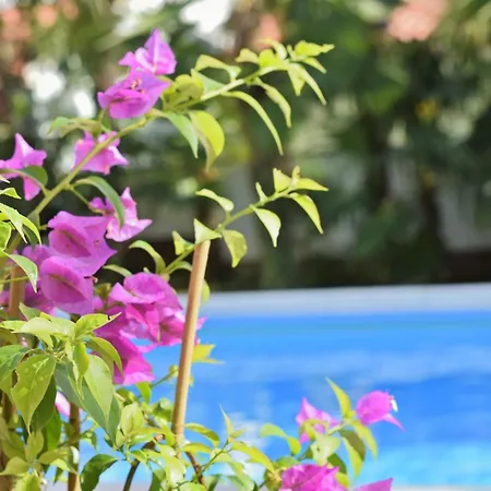 House Mai With Pool 3* Porec